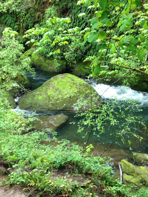 0F2A6ED2-E751-45BA-B972-C841BEB5955B